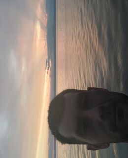 Сухроб — фото 1